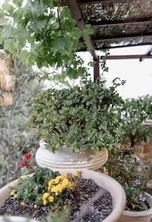 George & Alexandra's Daire *