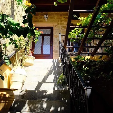 Daire George & Alexandra's *