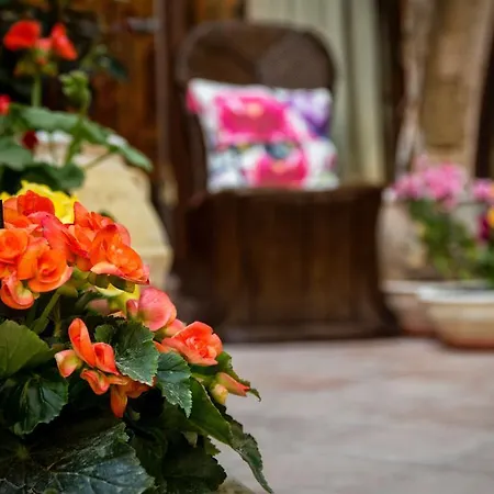 Apartment George & Alexandra'S Apartments Rhodes City